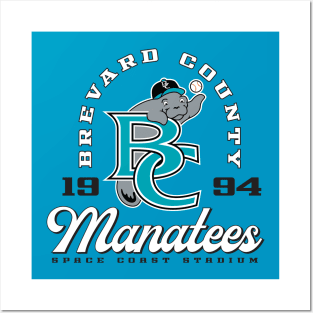 Brevard County Manatees Posters and Art